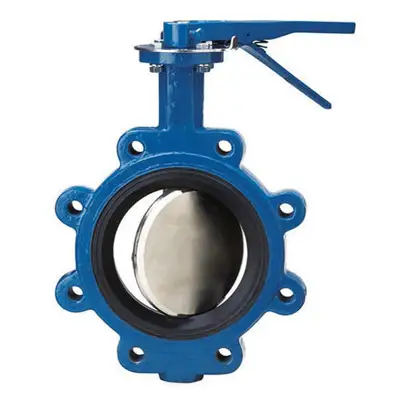 Butterfly Valve in Hyderabad
