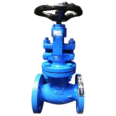 globe valve manufacturers in bhubaneswar
