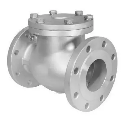swing check valves manufacturer, supplier and exporter
